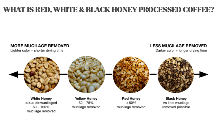 Tesoros Del Pais Green Coffee 5 lb in airsealed Ecotact bag