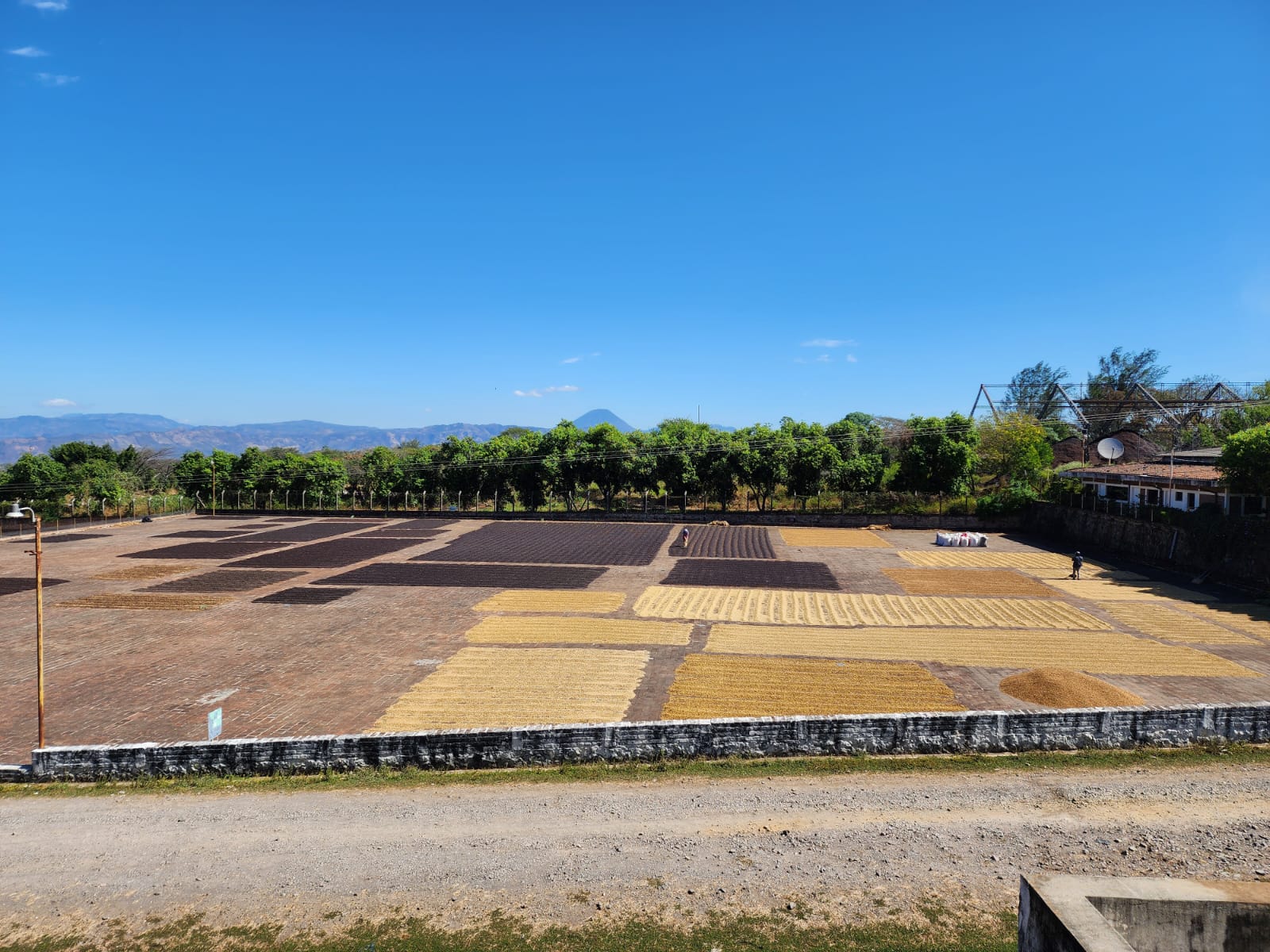 Tesoros Del Pais Green Coffee 5 lb in airsealed Ecotact bag