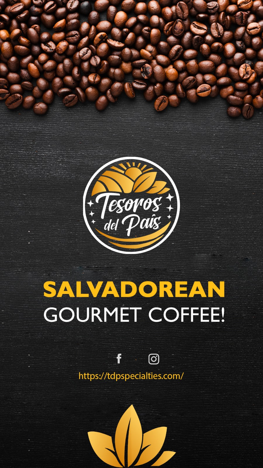 Tesoros Del Pais El Salvadorian Light Roast Coffee Whole Beans 1 Kg detail view 9