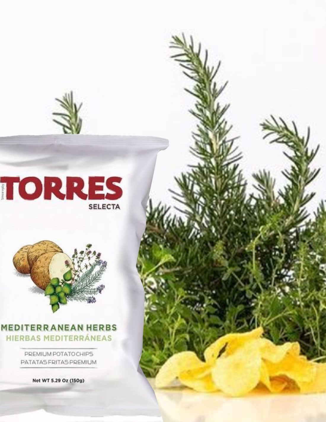 Torres Mediterranean Herbs Potato Chips — Case of 20 (1.76 oz (50g) Bags)