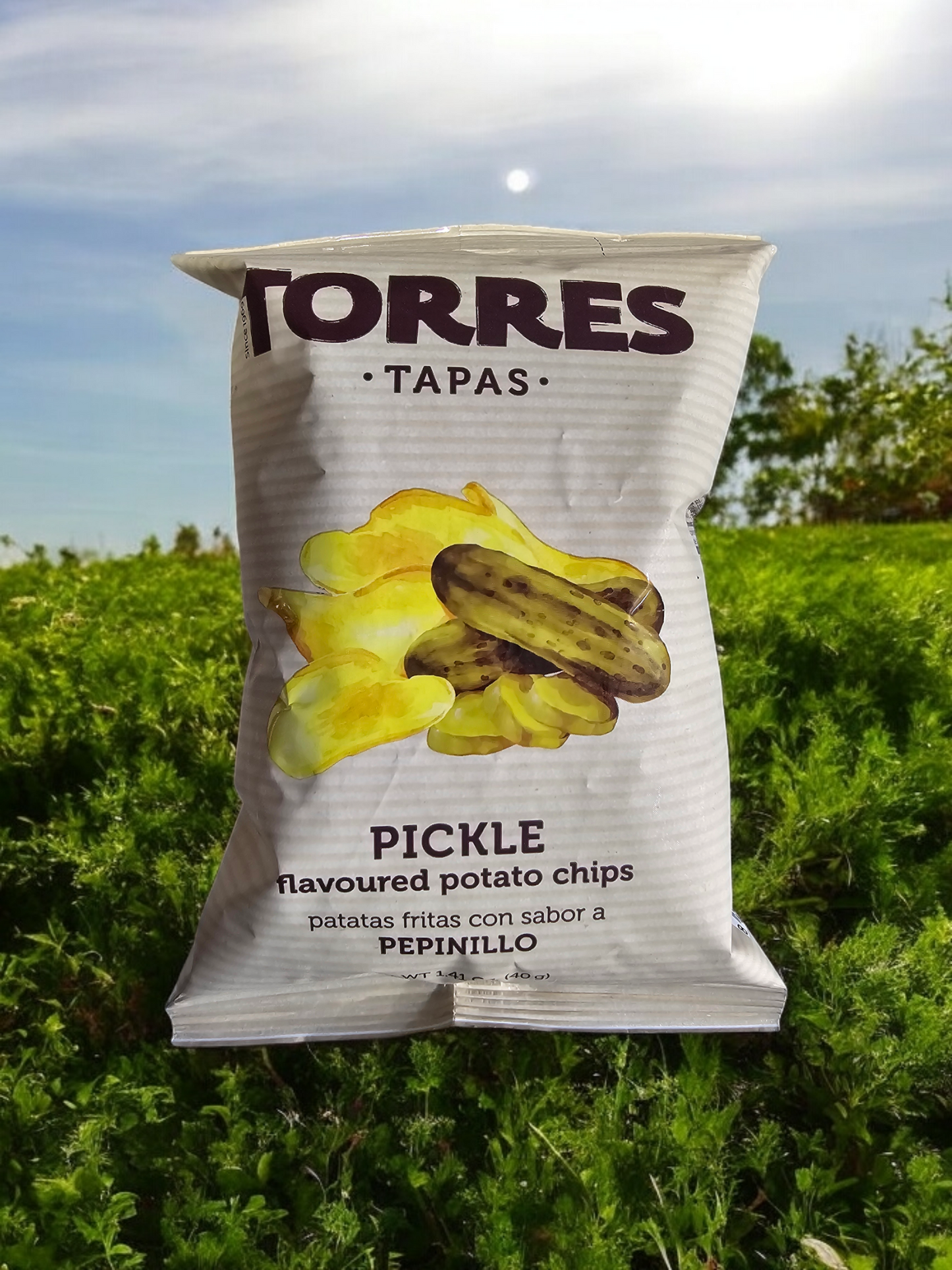 Torres Pickle Pepinillo Potato Chips — Case of 20 (1.41 oz (40g) Bags)