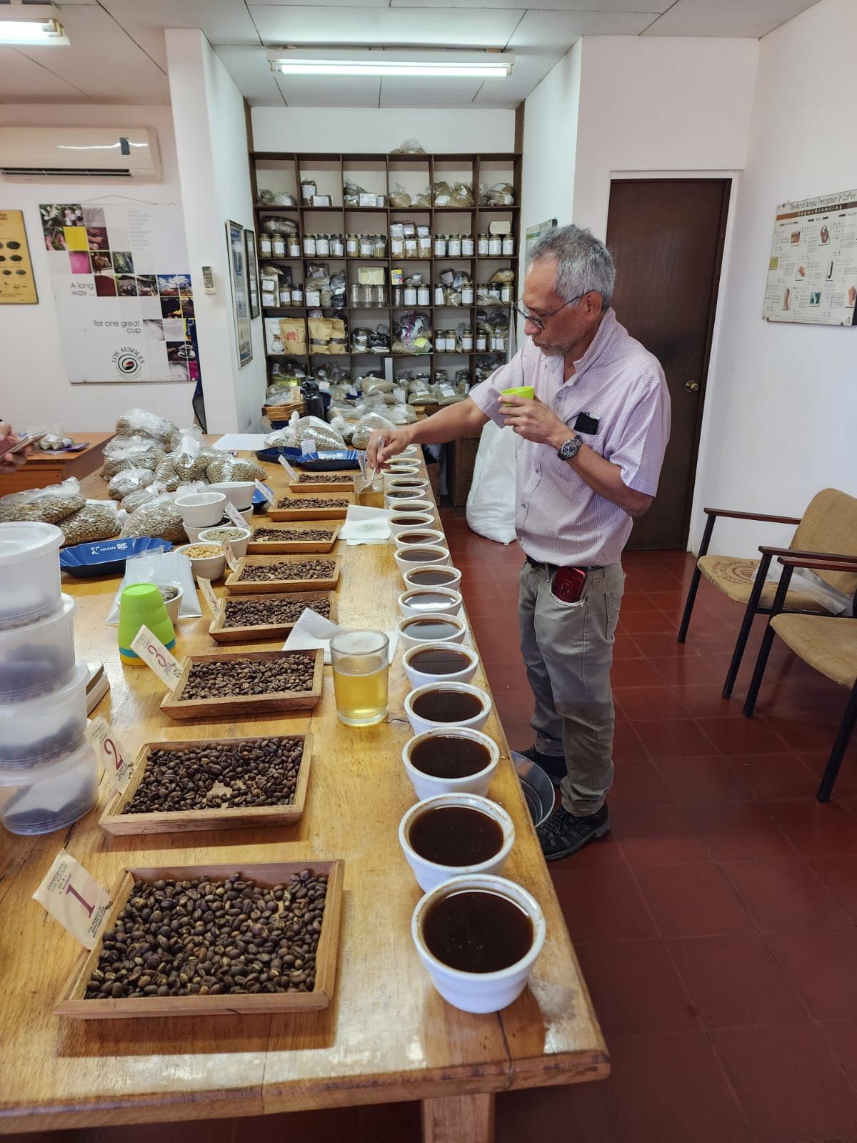 Tesoros Del Pais Green Coffee 5 lb in airsealed Ecotact bag