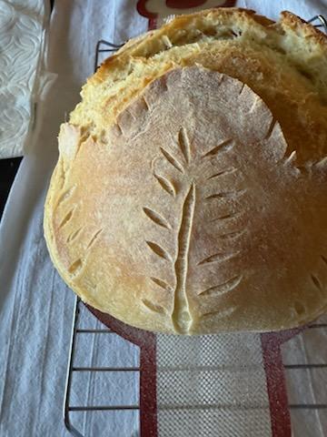 Artisan bread baked with Dallagiovanna All Use flour